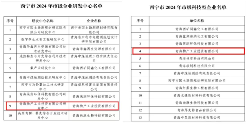 工投公司被西寧市科學(xué)技術(shù)局評定為西寧市科技型企業(yè)和西寧市企業(yè)研發(fā)中心