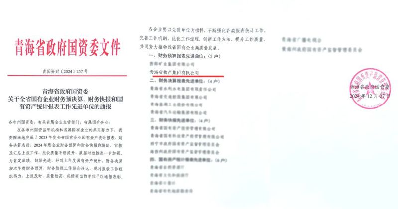 省物產(chǎn)集團榮獲省國資委2024年度財務(wù)預(yù)算報表工作先進單位