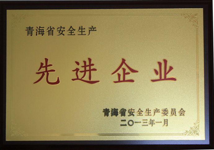 青海物產(chǎn)榮獲“2012年度安全生產(chǎn)先進(jìn)企業(yè)”榮譽稱號